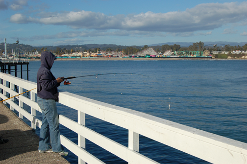 Fishing off the Santa Cruz wharf